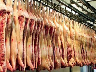 programul-carne-de-porc-in-feremele-romanesti-beneficiaza-de-86-de-milioane-de-euro-in-2017