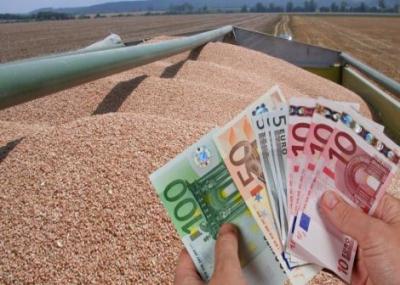 cum-au-evoluat-creditele-agricole-in-ultimii-ani
