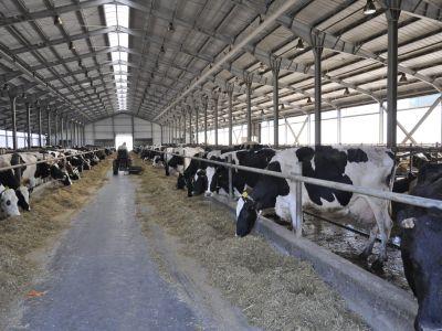 fonduri-europene-accesibile-pentru-fermierii-care-doresc-sa-infiinteze-o-exploatatie-zootehnica