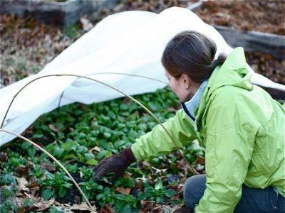 proiecte-eligibile-pentru-care-se-pot-obtine-fonduri-europene-in-agricultura