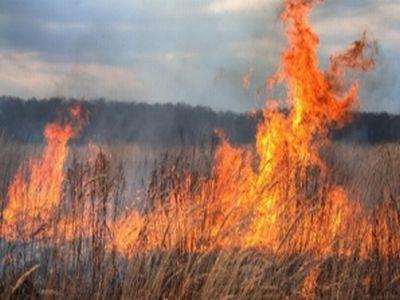 recomandari-de-sezon-pentru-evitarea-incendiilor-pe-camp