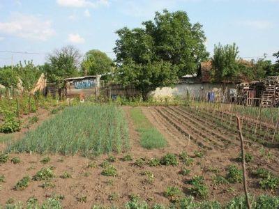 romania-detine-o-treime-din-gospodariile-agricole-existente-in-uniunea-europeana