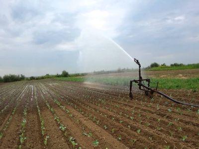 doua-milioane-de-hectare-acoperite-cu-sisteme-de-irigatii-pana-in-2020