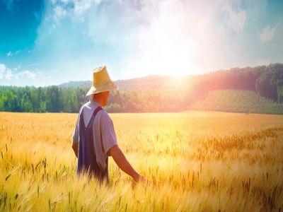 agricultura-si-omul-modern