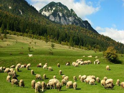 informare-madr-privind-masurile-de-mediu-si-clima-aplicate-in-anul-2017-pe-terenurile-agricole