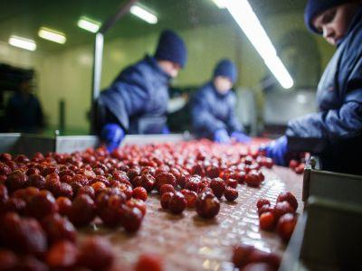 conditii-de-eligibilitate-pentru-obtinerea-de-finantari-destinate-procesarii-produselor-pomicole