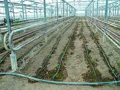 pregatirea-solului-din-sere-pentru-noile-culturi