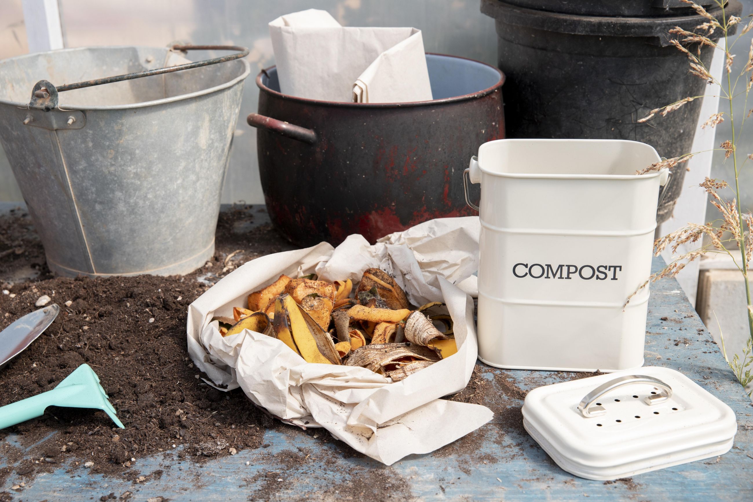 beneficii compost