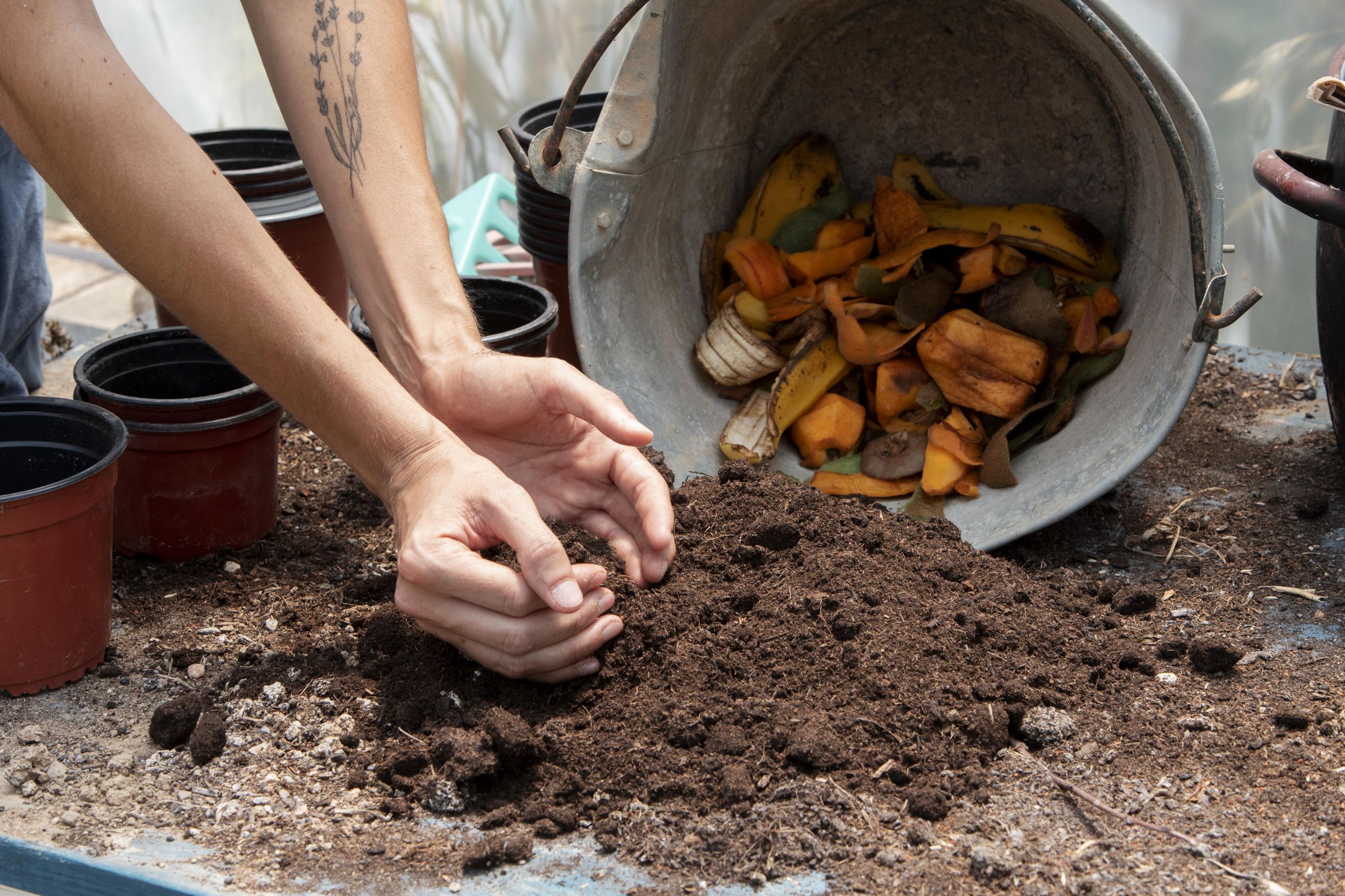 materiale compost