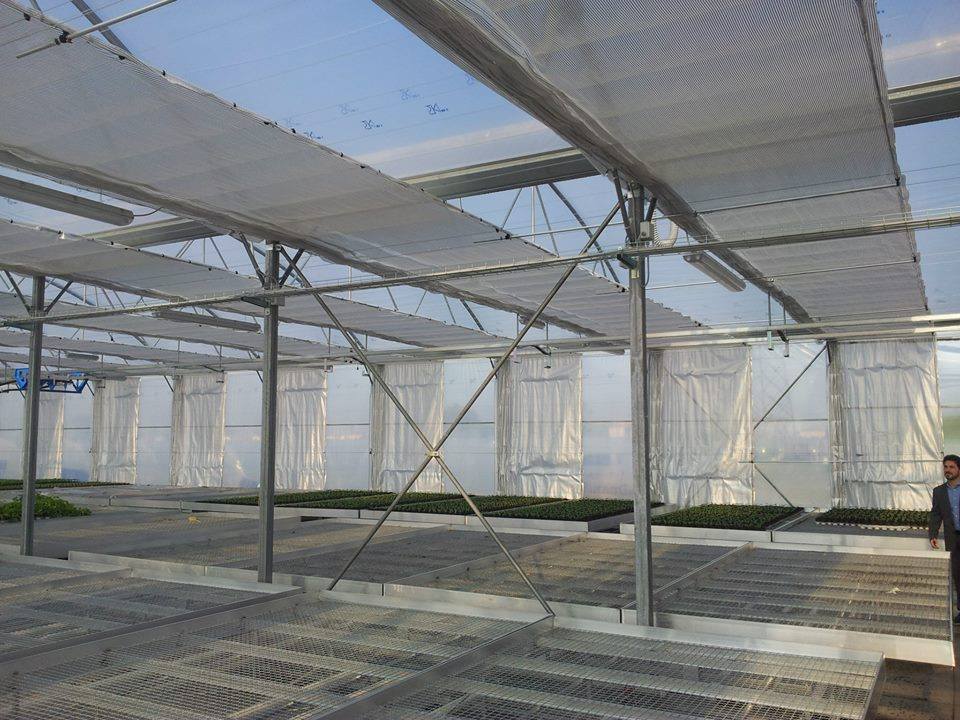 SERE CU STALPI 80X80X3MM