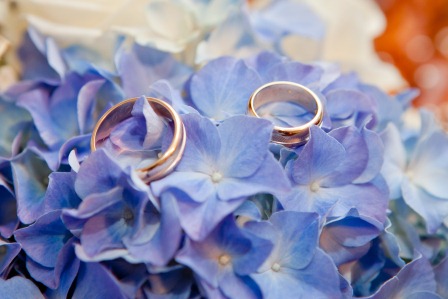 OFERTA FOTO-VIDEO NUNTA-BOTEZ