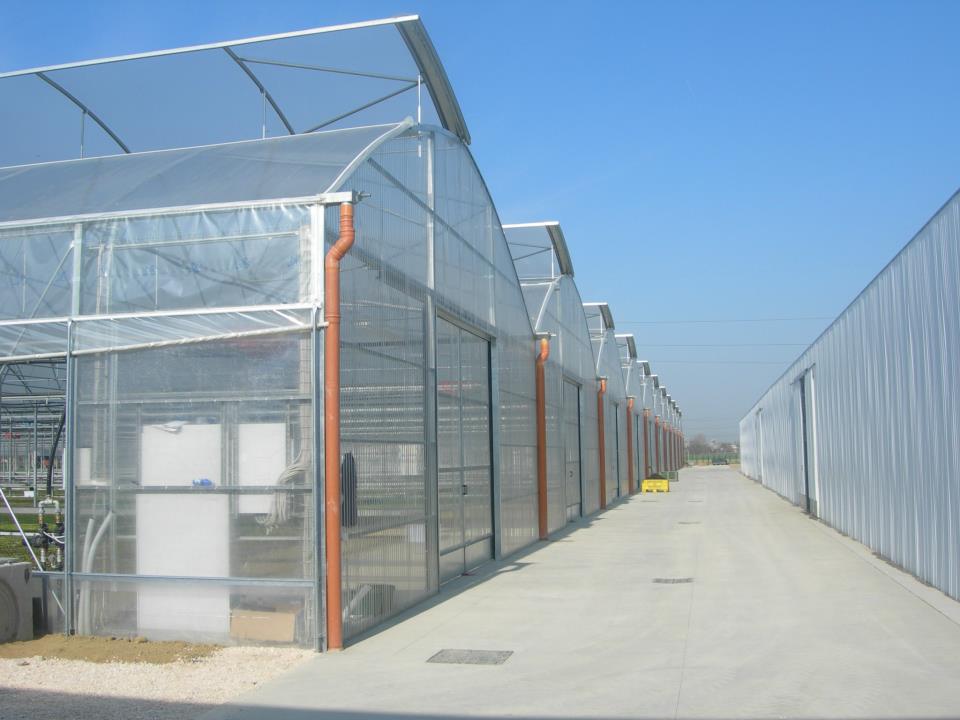 SERE PROFESIONALE  : HTTP://WWW.SERE-ROMANIA.RO