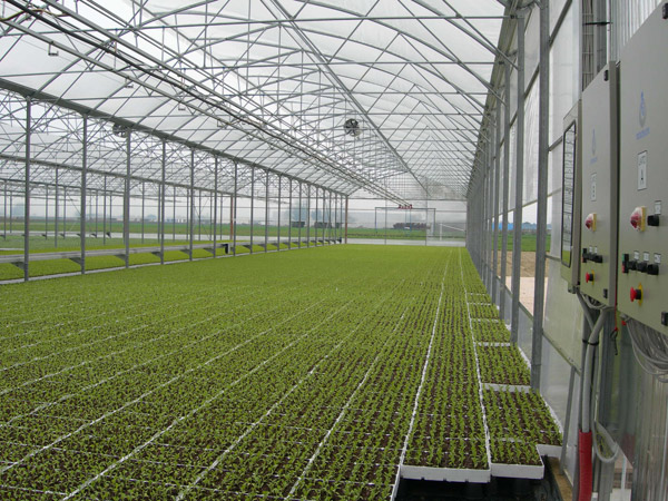 SERE MODULARE &ACIRC;