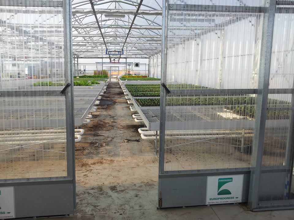 SERE CU LATIMEA 25,60 M