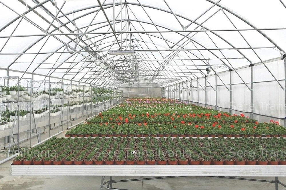 MASA DE CULTURA INUNDABILă, FIXA/MOBILA