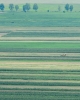 Dau in arenda- concesionez teren agricol bio in tulcea 700 ha