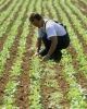 credit în sectorul agricol