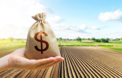 De ce credite poti beneficia in agricultura?
