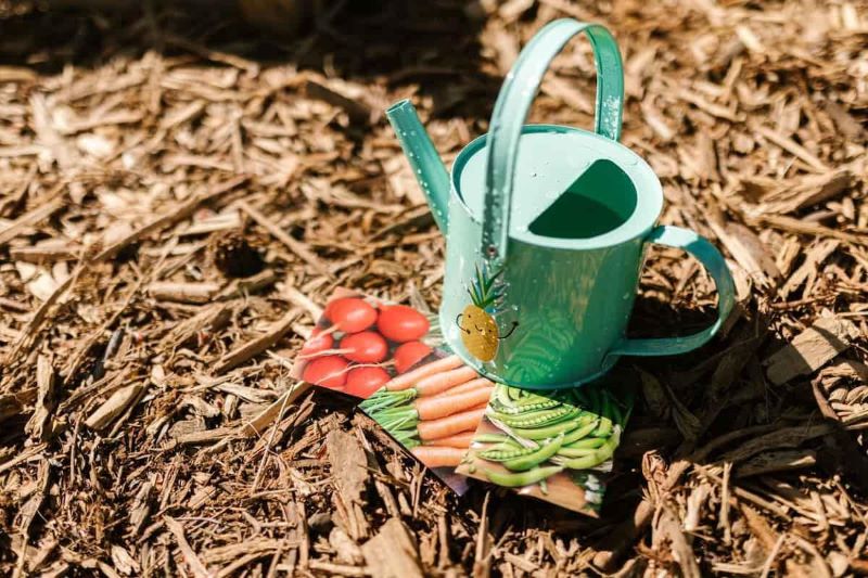 Ai sertarul plin cu seminte? Greseli care iti pot lasa gradina goala