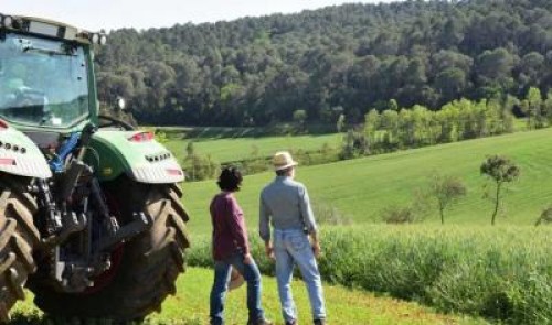 APIA: Termenul limita pentru Masura 21, implinit vineri