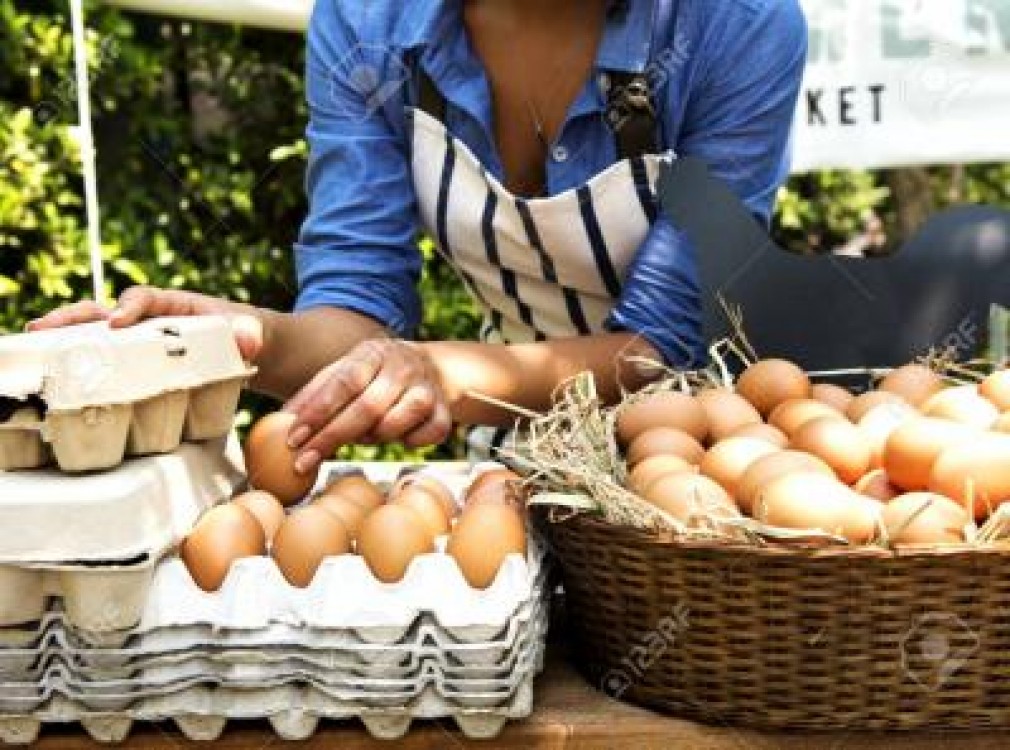 Activitatea Casei de Comert Agroalimentar, verificata de corpul de control a noului ministru