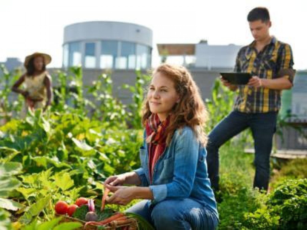 5 idei de afaceri in agricultura, cu un buget redus