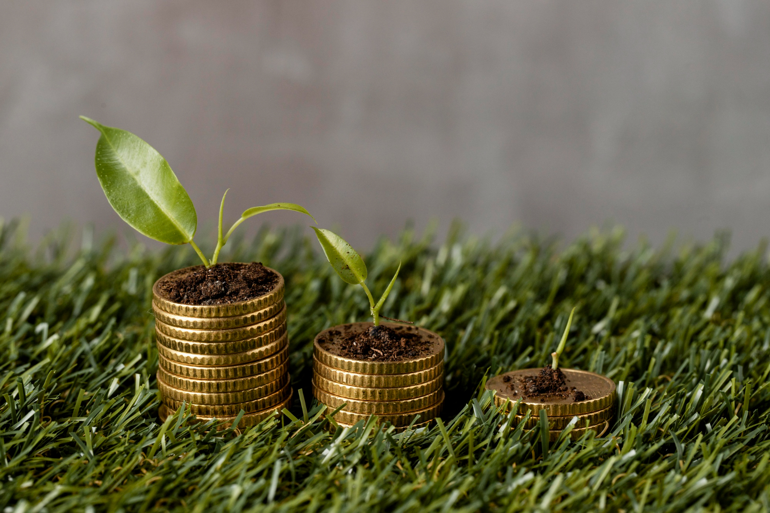 Subventii APIA 2025: cati bani se dau pe hectar si pe culturi