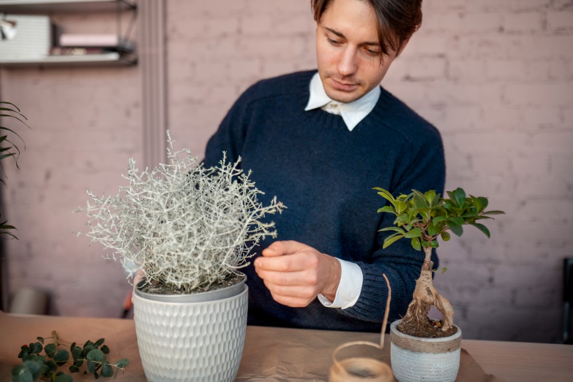 8 plante care rezista iarna in ghiveci
