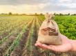 Credite pentru agricultura: Intelegerea si accesarea finantarii