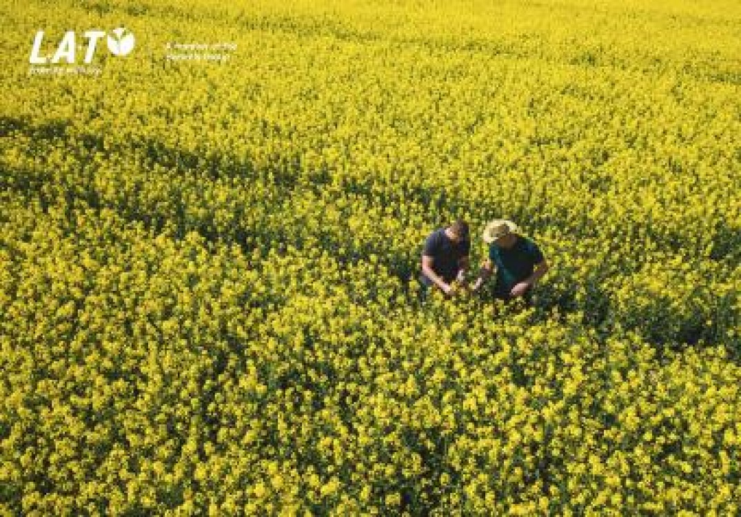 Utilizarea eficienta a ingrasamintelor pentru cultivarea plantelor
