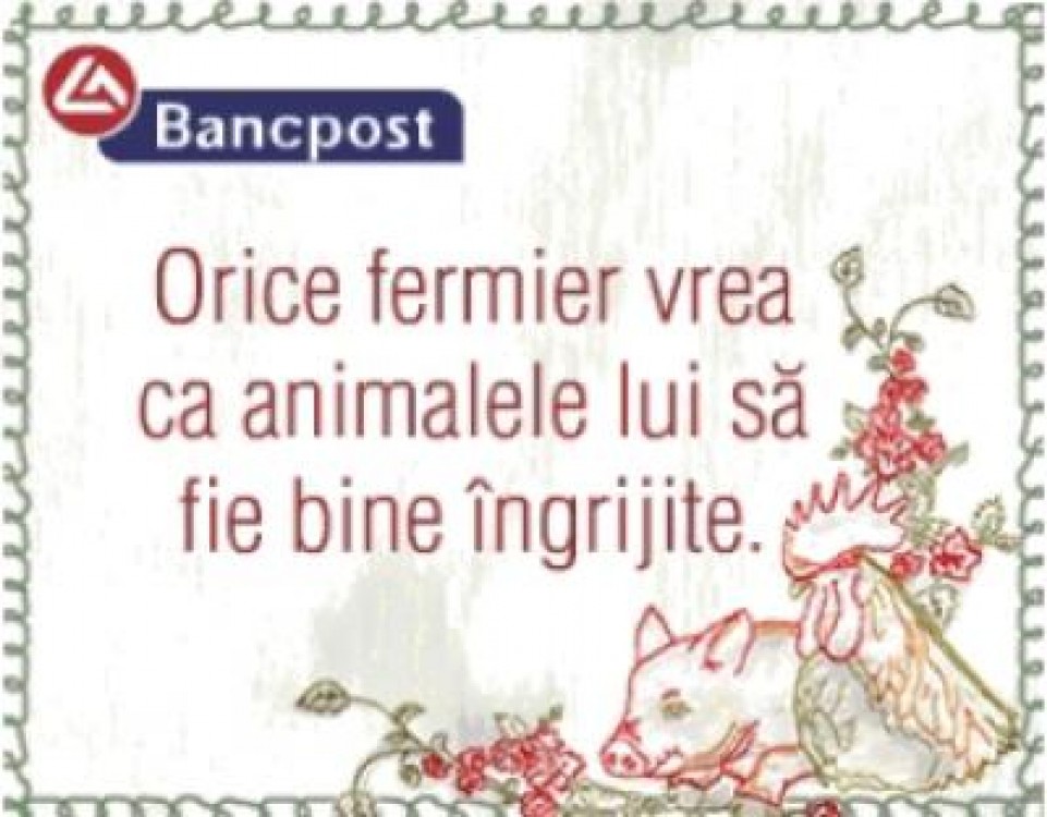 Cine se scoala de dimineata departe ajunge ... daca are si cu ce!