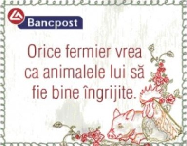 Cine se scoala de dimineata departe ajunge ... daca are si cu ce!