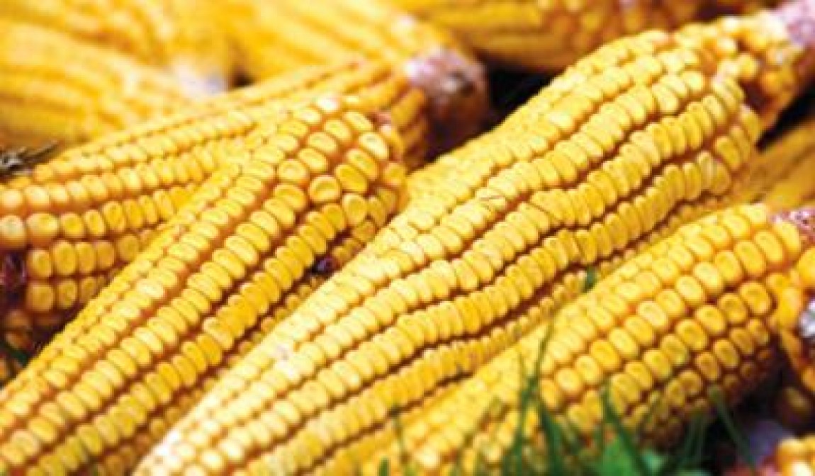 Bruxelles cere Romaniei revizuirea recordurilor din agricultura