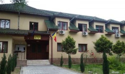 Directia Silvica Gorj a plantat 267.000 de puieti pentru reimpadurire
