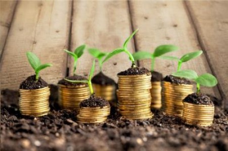 Bunastarea din Romania, insesizabila pentru cetateni. Cresterea economica s-a risipit