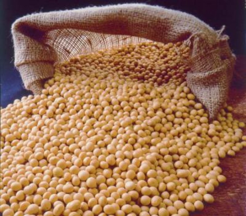 Federatia Pro Agro, membru in asociatia Danube Soya