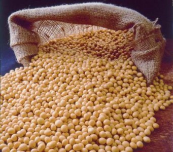 Federatia Pro Agro, membru in asociatia Danube Soya