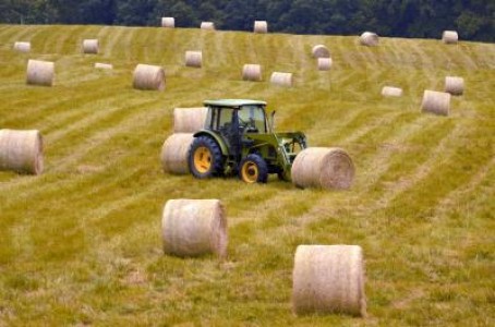 Ministrul bulgar al Agriculturii: Nu va mai laudati cu cat furati din subventii