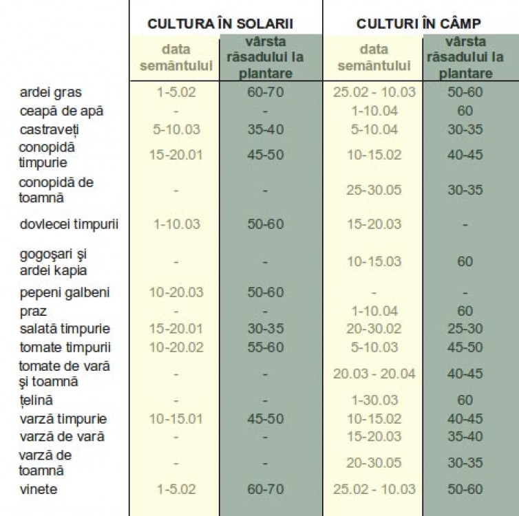 Semănatul legumelor în funcţie de tipul de cultură