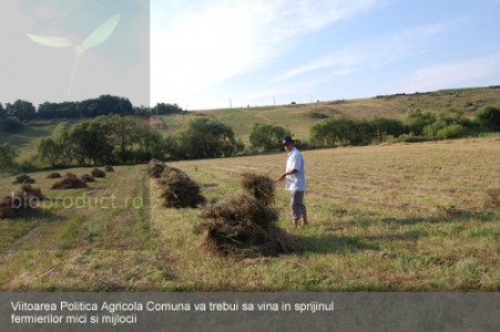 Viitorul Politicii Agricole Comune şi impactul agriculturii asupra mediului (dezbatere WWF)