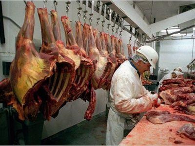 Numarul sacrificarilor de animale, in crestere