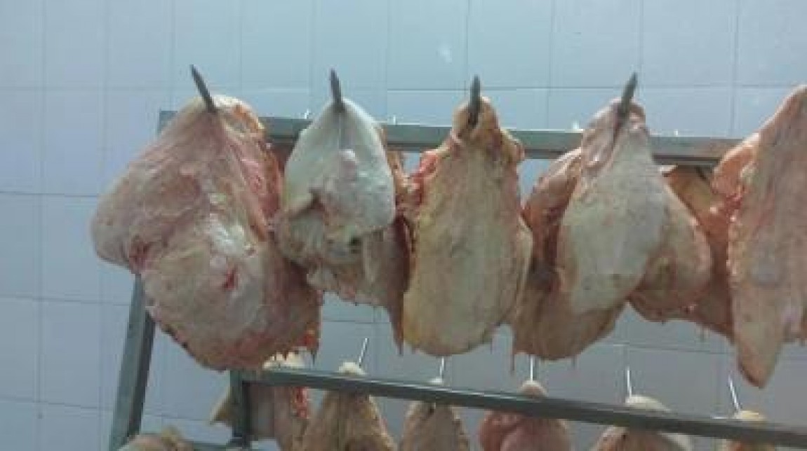 Termenul limita pentru obtinerea banilor pentru abatoare mici, 31 martie 2021