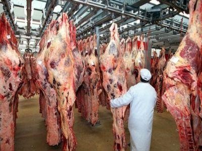 A crescut numarul sacrificarilor de bovine si pasari