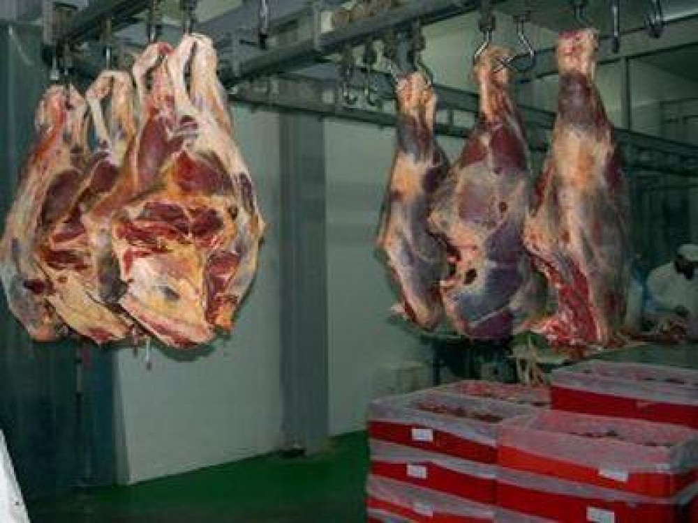 Mai multe animale si pasari sacrificate in cursul lunii septembrie