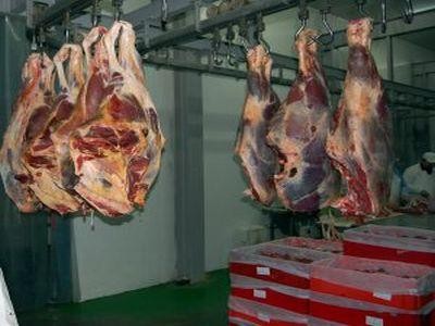 Evaziune fiscala pe scara larga la doua abatoare din Buzau