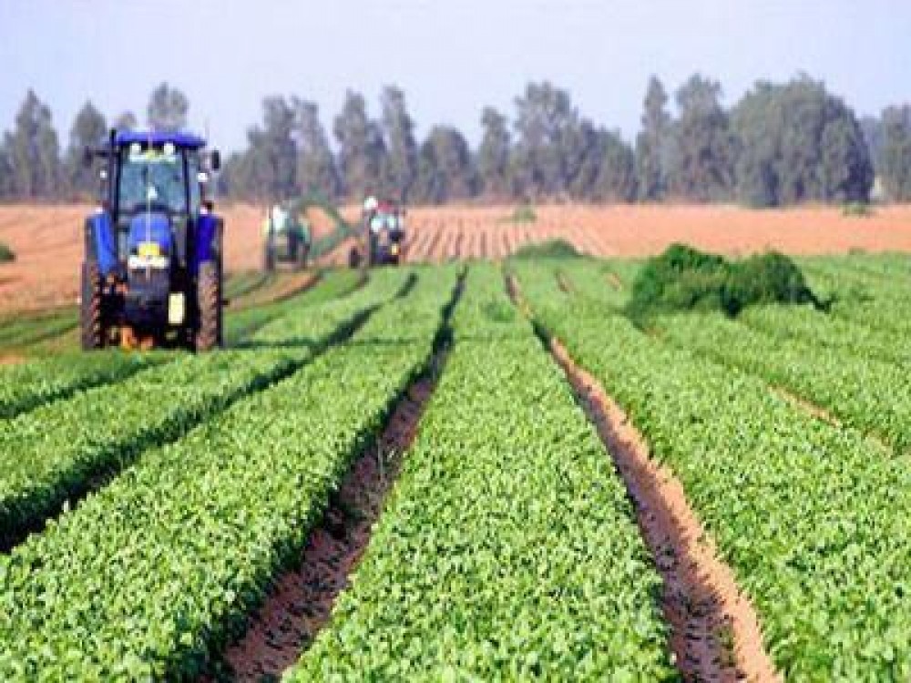 A crescut rata de absorbtie a fondurilor europene pentru agricultura si dezvoltare rurala
