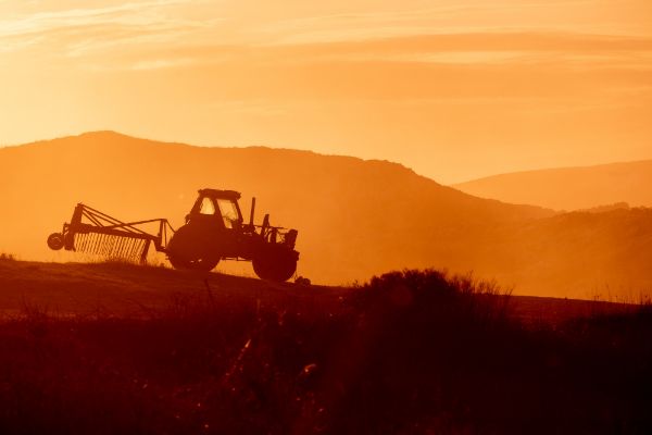 MADR: Un nou sprijin pentru fermierii din sectorul vegetal