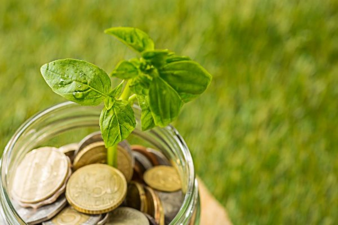 MADR: Plati de 90 de milioane de lei pentru fermieri