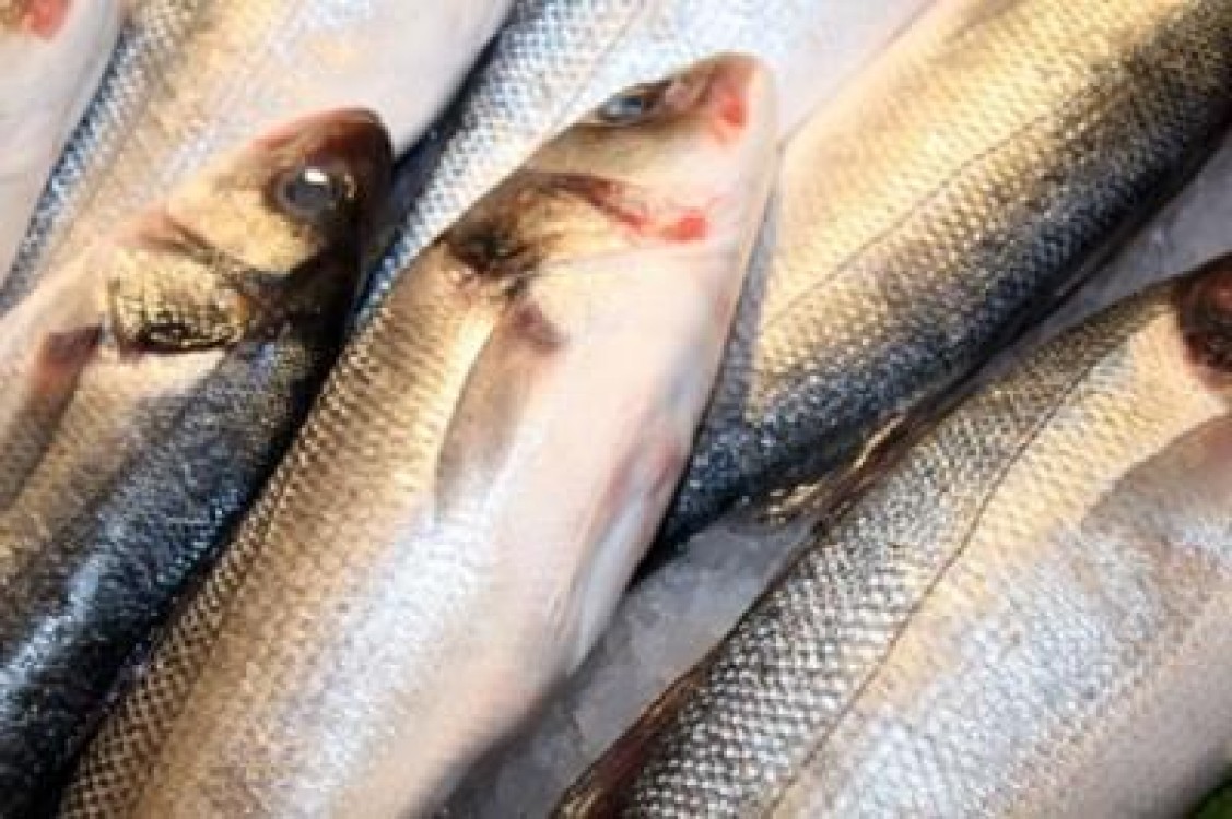 Industria pestelui din Romania, o umbra a ceea ce a fost odata