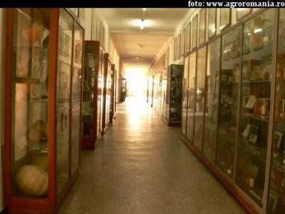 Vrei sa fii inginer agronom? Iata ce trebuie sa stii despre admiterea la Facultatea de Agricultura din Bucuresti!
